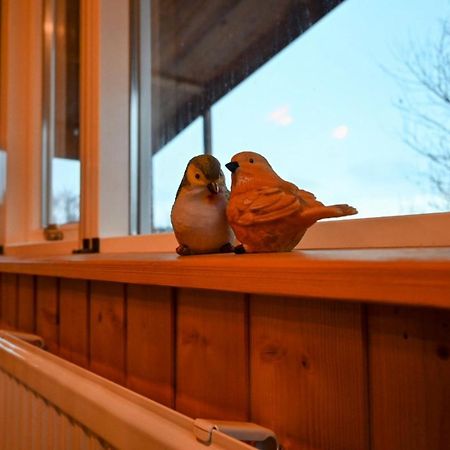 Thingvellir Cabin/Chalet Selfoss Esterno foto