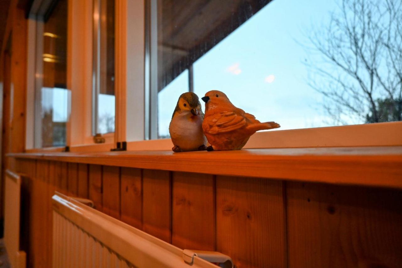 Thingvellir Cabin/Chalet Selfoss Esterno foto